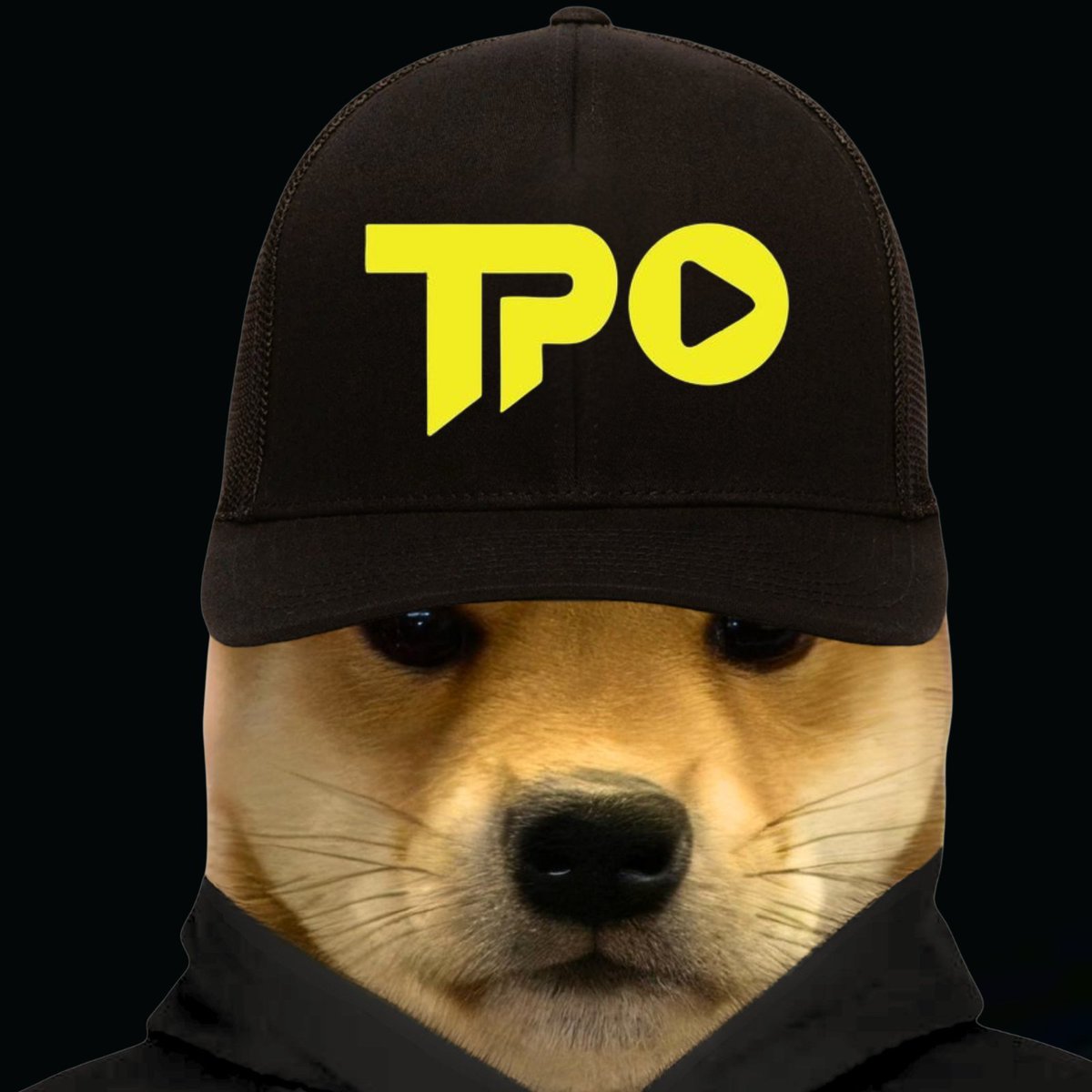 dogwifcoin's tweet photo. https://t.co/0gpjwfpRfw