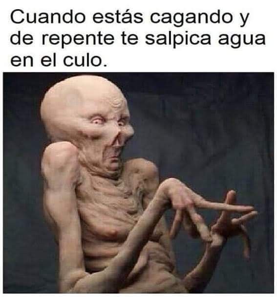 lilianadeteresa's tweet photo. 😂😂😂🤣😂🤣💧 https://t.co/AzQBDsB4Gi