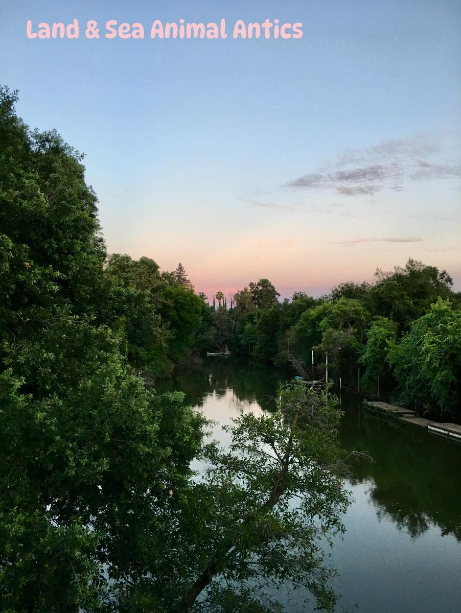 KenishaCush0's tweet photo. perhaps contentment is simply an unhurried state of mind... https://t.co/1CFgmfbhfS