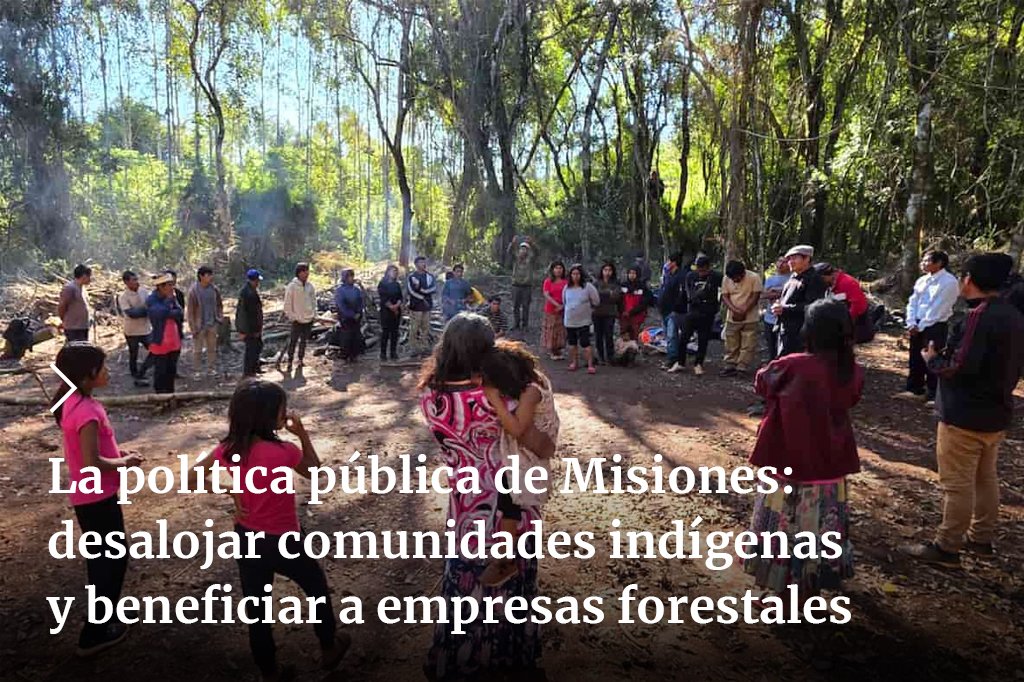 Tierra_Viva_'s tweet photo. La comunidad Mbya Guaraní Puente Quemado 2 habita desde hace generaciones la misma tierra en Misiones. Sufre hace años el asedio de empresas forestales como Arauco. Esta semana fue desalojada para beneficiar al empresario Alfredo Ruff.❌
✍️Clarisa Néztor
➡️https://t.co/e7VVKoy2CZ https://t.co/fzh8IpFe07