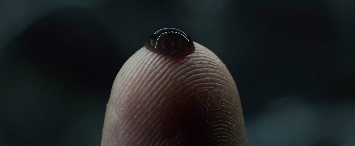 filmfr4me's tweet photo. Prometheus (2012)
director: Ridley Scott https://t.co/eR9sSnaSeK