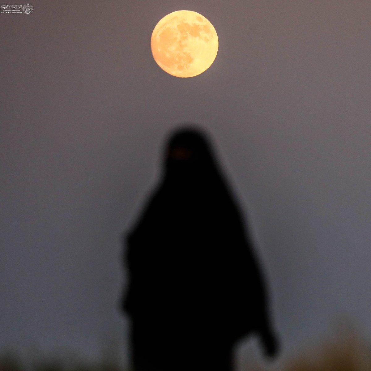 imamalinet's tweet photo. قمرٌ يُرافقُ زائريكَ ونورُهُ
في الدربِ يملأُ يا حسينُ الأَدهُرَا
#على_خطى_الحسين https://t.co/wsw6s0y8nz