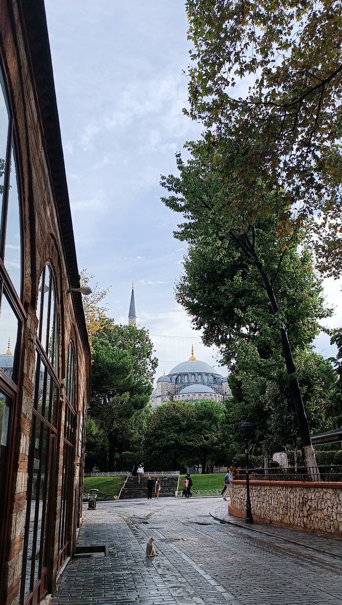 Dalforr's tweet photo. Sirkeci garı tadilatta olduğu için mekanlar ilgimizi çekmiyor ama neyseki istanbul her zamanki gibi güzel. 

https://t.co/GgvCYbA1Z0 https://t.co/Jc3ZAPSBj8