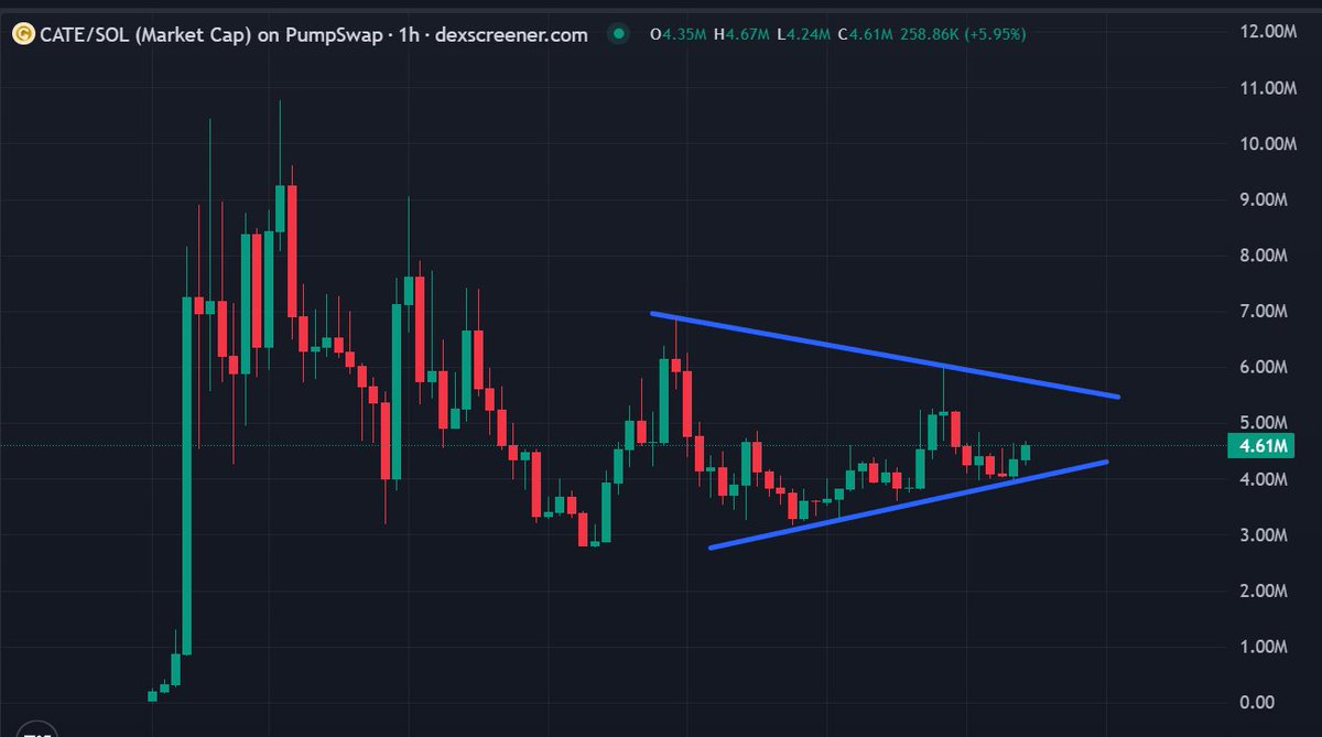 MoEthWhale's tweet photo. I feel $CATE redistribution is near complete.

You want all the trading and jeet wallets out before the first parabolic breakout, so can print higher highs.

Cat(e) szn, generational wealth buying is under $10M MC.

CA: Ai66LHZG9MCzg1WKdawwqduVAXpNDUuV8M3uyq5ppump https://t.co/9KMG5urSbM