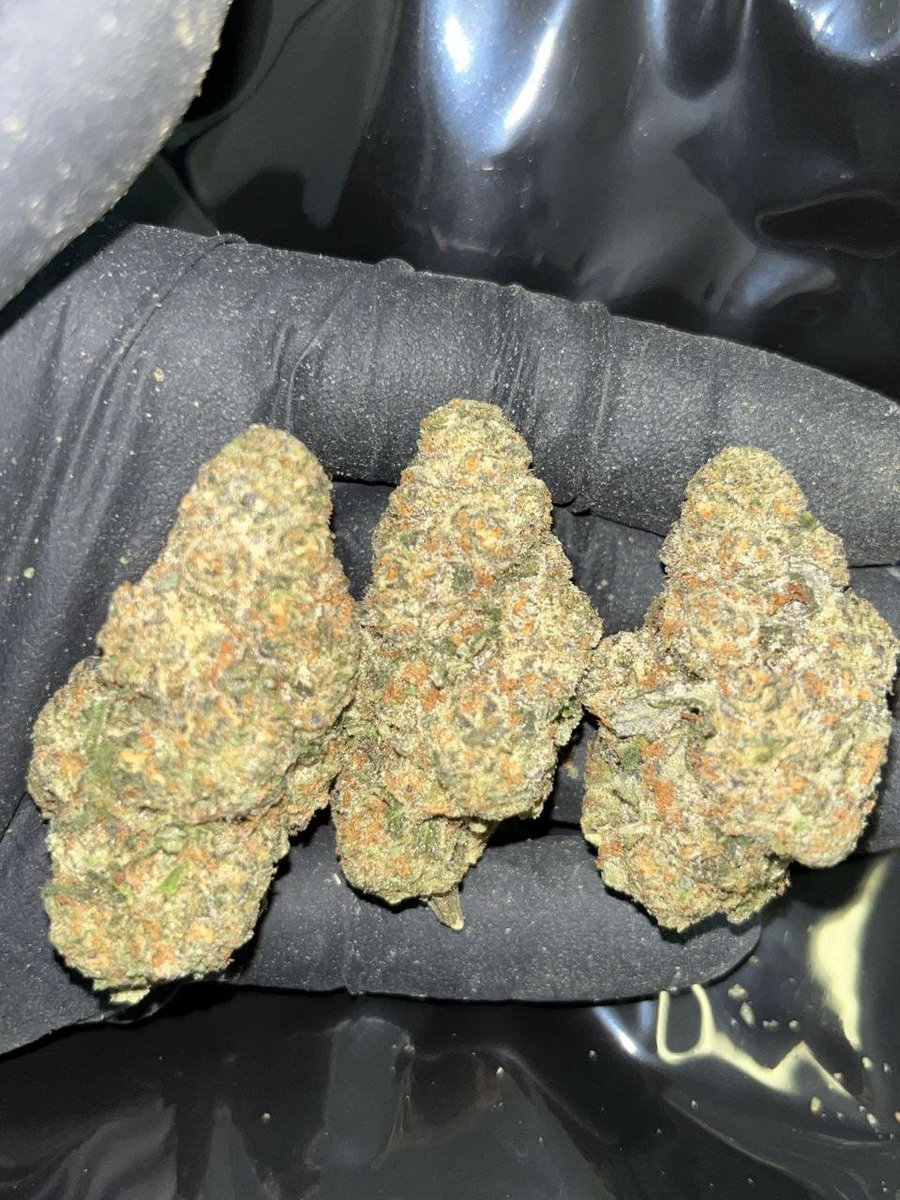 goodluck4ever's tweet photo. Get top-shelf exotic weed and premium buds, plus a wide range of weed vape, disposable carts, edibles, hash, rosins, and pre-rolls. Active plug available in" Ottawa, Toronto, Vancouver, Calgary, Montreal, Halifax, Winnipeg, Edmonton, Victoria, Seattle, Portland, San Diego, Miami https://t.co/dSumEHCtz6