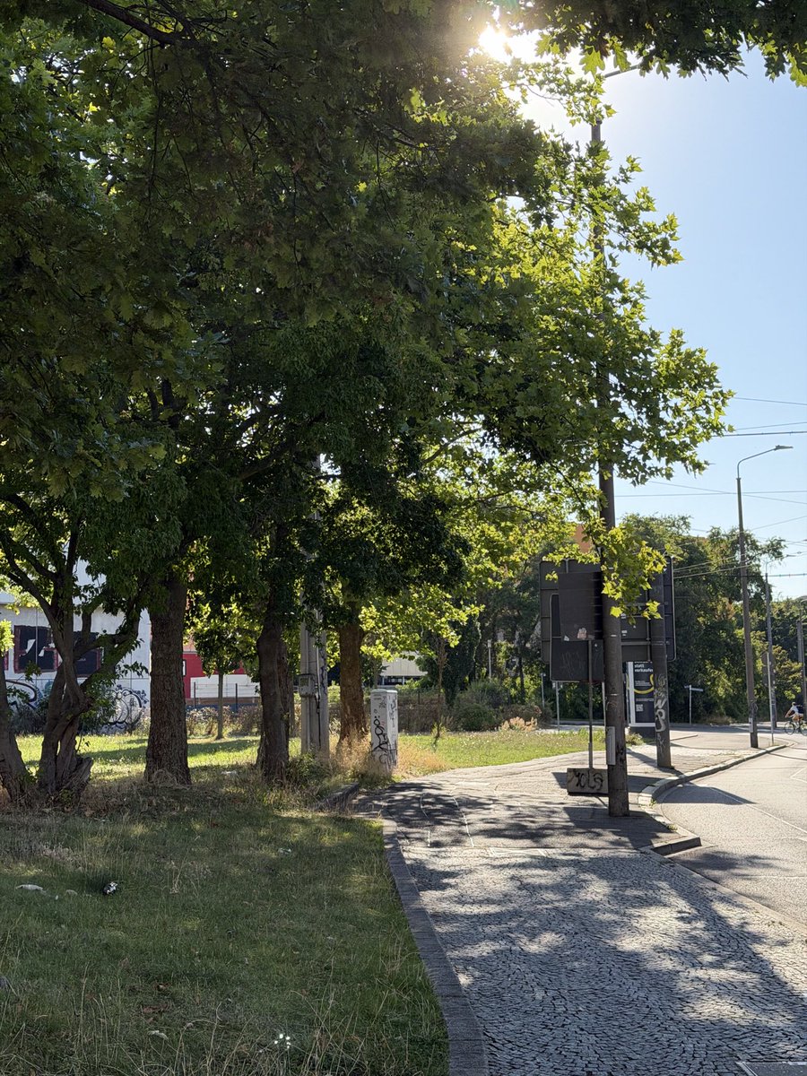 Mahm0ud26's tweet photo. Sonnig ☀️☀️ https://t.co/njTCsLEvM3