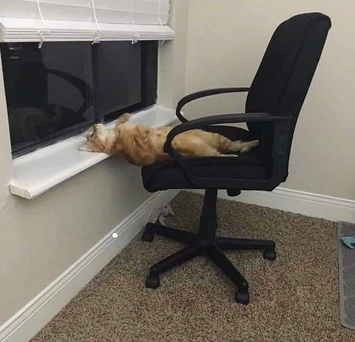 twaniimals's tweet photo. https://t.co/vjWMO9QinN