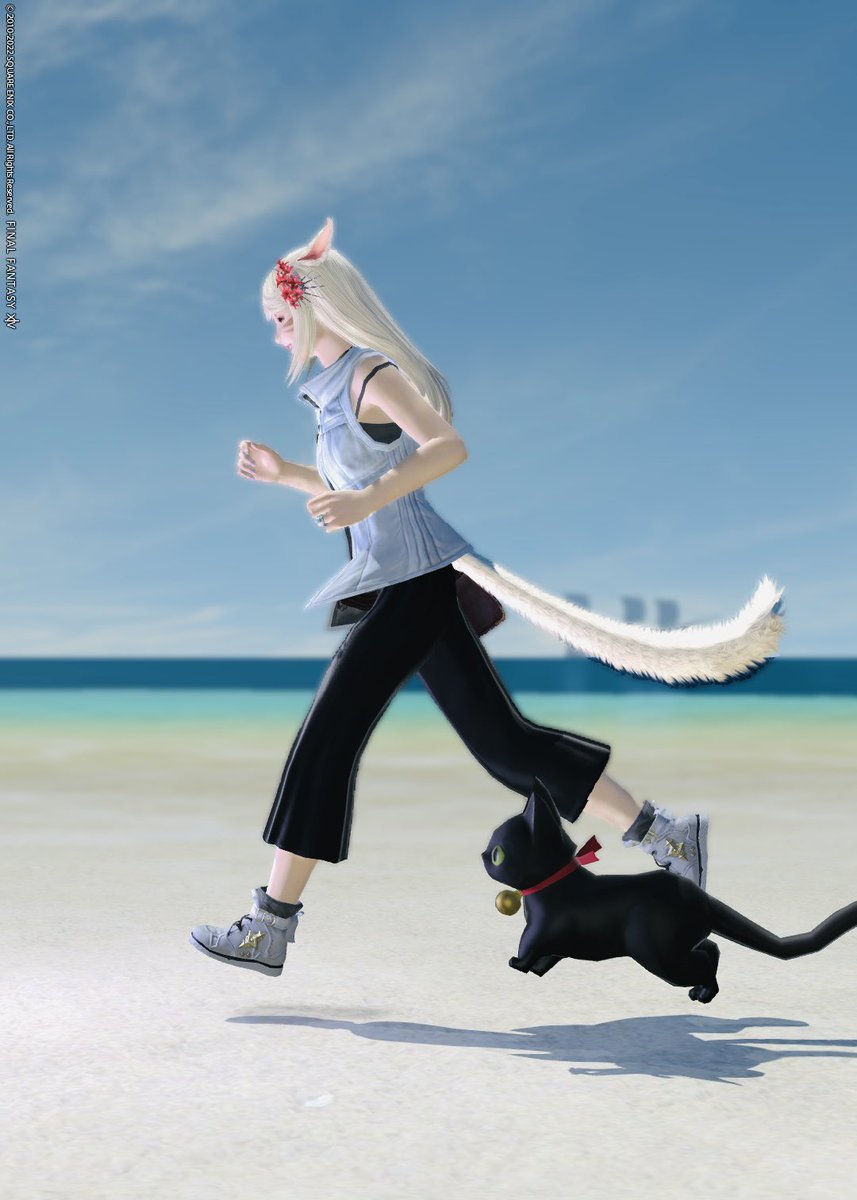 ff14nontan's tweet photo. おはようございます。穏やかな木曜日の朝がやってきましたね。今日もゆったりとした気持ちで、一日を大切に過ごせますように。どうぞ素敵な一日をお過ごしください🪴✨

#おはミコ
#のんたんの小さなおはなし

「カリカリは卒業出来ない」

日向子は窓から差し込む柔らかな陽光の中で、アンドロイド子猫のココと一緒にちょっと早めのお昼ご飯を楽しんでいた。テーブルにはミートソースのパスタが並び、ココは器用に手を動かしながら食べている。

日向子「ねぇココ、いつもカリカリしか用意してなかったけど、こんなに色んなもの食べられるんだね！」

ココ「うん！日向子と同じものが食べられるよ。猫に食べさせちゃいけないって言われてるものも、ボクは大丈夫なんだ」

日向子「へぇ、ほんとに？それじゃあ、カリカリは封印しちゃおうかな」

ココ「えっ、待って！カリカリは無くさないでほしいな」

日向子「なんで？」

ココ「だって、美味しいし、歯ごたえがすごく気持ちいいんだよ。まるでお菓子みたいで、ついつい食べちゃうんだ」

日向子「なるほどね、お菓子感覚なんだ。わかったよ、カリカリは残しておくね」

日向子は笑いながらそう言った。ココは嬉しそうに小さな尻尾をふりふり。

ミートソースのパスタを食べ終わった二人は、窓辺に移動し日向ぼっこを始めた。日向子はココを膝の上に抱き、ぽかぽかと暖かい午後の陽射しに身を任せる。

ココ「ねぇ、そうだ！3時のオヤツはボクが何か作ってあげるよ！」

日向子「え？どうやって？ココが作るの？」

ココ「うん、ほら、これを使えば簡単に作れるし……こうやって、ふわふわとね！」

ココは得意げに両手を動かし、ボールや泡立て器を宙に浮かせた。まるで魔法のように、プリンミックスのパッケージを手に取り、材料を混ぜ合わせ始める。

日向子「なるほど！ベビーカーを持ち上げられるんだもんね？だから色々できるんだ」

ココ「そうそう！こんなふうにね。でもまだまだ練習中だよ」

ココは器用にプリン液を可愛い小さなグラスに注ぎ、冷蔵庫へふわりと運んだ。

ココ「出来たよ！3時になったら固まるから、楽しみにしててね！」

日向子「ありがとう、ココ。お菓子を作ってもらうなんて初めてで、なんだか心がぽかぽかするよ」

その言葉にココは照れくさそうに小さくうなずいた。

そして、街の時計台の3時の鐘が鳴る頃、二人はそわそわしながら冷蔵庫を開けた。

日向子「わぁ、美味しそうに固まってる！」

ココ「きっと美味しいよ！さあ、一緒に食べよう」

ココはスプーンを宙に浮かせ、器用にプリンをすくった。日向子も同じくスプーンを取り、二人はゆっくり味わいながら食べ始めた。

日向子「うん、美味しいね。ココは天才だよ」

ココ「えへへ、ありがとう！日向子が喜んでくれて嬉しいな」

食べ終えると、ココはちょっと照れたように日向子の顔をじっと見つめた。

日向子「そうだ、カリカリも出すね」

そう言って、いつものお皿にカリカリを盛って差し出す。

日向子「でもあんまり食べ過ぎると太っちゃうよ？」

日向子は冗談めかして言った。

ココ「ボクは成長できないから、いくら食べても太らないんだ」

日向子「えー、ずるいなぁ！」

ココ「大人になれないけど、まあ……別の意味でね……いや、なんでもないよ！」

言いかけた言葉をココは自分で遮り、少し照れくさそうに目をそらした。

日向子はこの時はあまり気に留めなかった。しかし、この何気ない会話が、後に大きな事件を解決するきっかけになるとは、二人ともまだ知る由もなかったのだった。

つづく🐈🐾