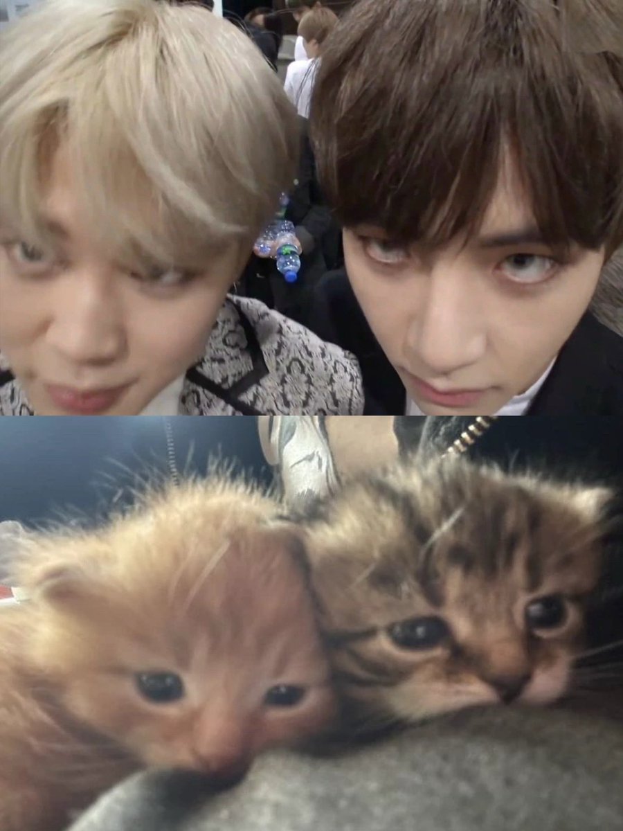 V9noor's tweet photo. it’s literally vmin https://t.co/78IB2bjGAH