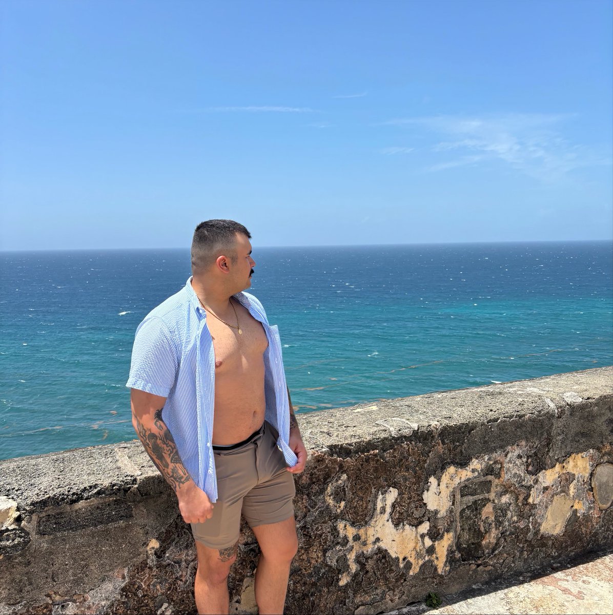 darkkrose15's tweet photo. Bear meets tropical. 🏝️ https://t.co/mpzLK77p6R