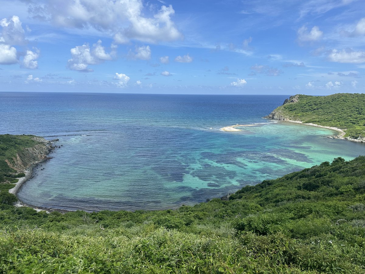 _PJAnderson's tweet photo. Caribbean Blue https://t.co/oP1nXDgj9h
