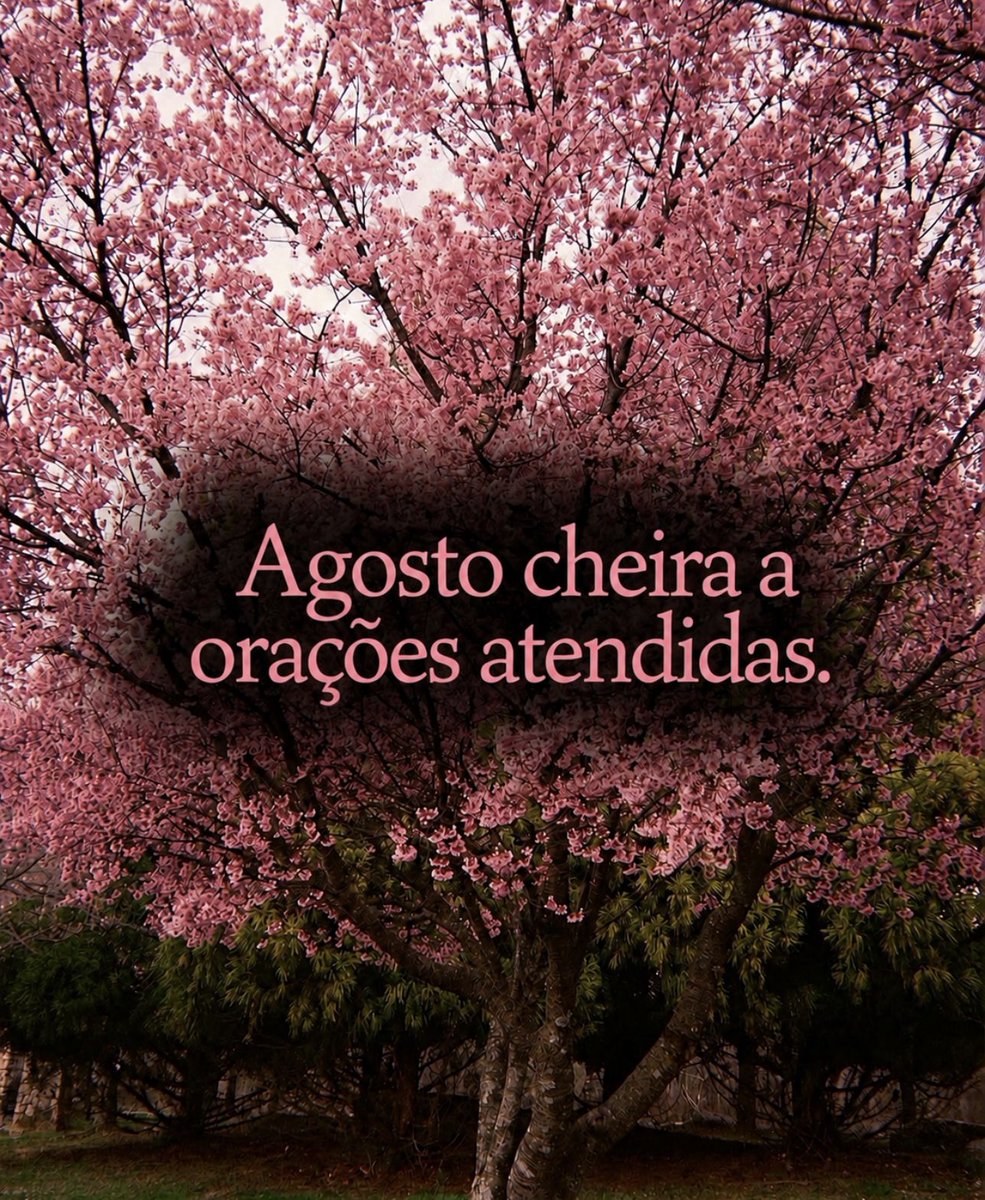 UmFilosofoCitou's tweet photo. https://t.co/xo3fczBBDW