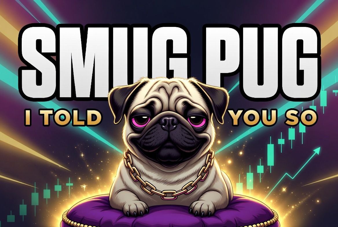 SMUG PUG tweet media