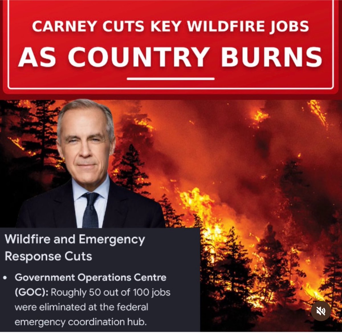 Aqualung0001's tweet photo. Notice how proud Theo is of his anti-Poilievre cartoons that he disables the comments! Perhaps he can post one depicting the wonderful job the Carney Liberals are doing combatting all the wildfires in Canada! https://t.co/nQhvAN0sSB