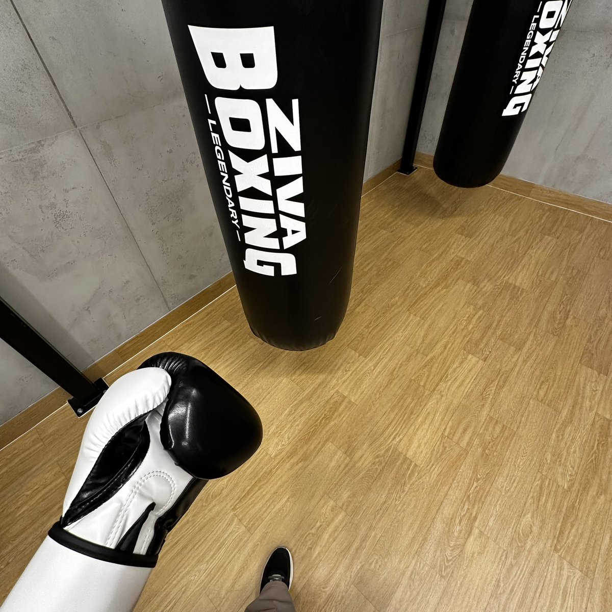_nshll's tweet photo. Leave it all in the ring 🥊 https://t.co/OheaK9XuHC