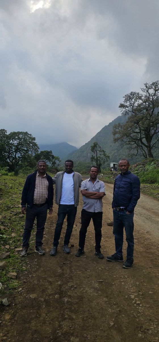 kemal_beyan's tweet photo. Gara Muleta is one of the most prominent natural landmarks in the eastern Ethiopia. Standing as the highest peak in Hararghe highlands at approximately 3,481 meters above sea level, it plays a vital ecological,cultural, and hydrologic role. https://t.co/22Hk65o07I