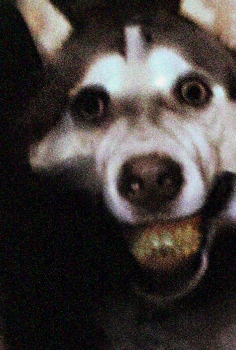 smiled0gy's tweet photo. https://t.co/FN9TFTxANh