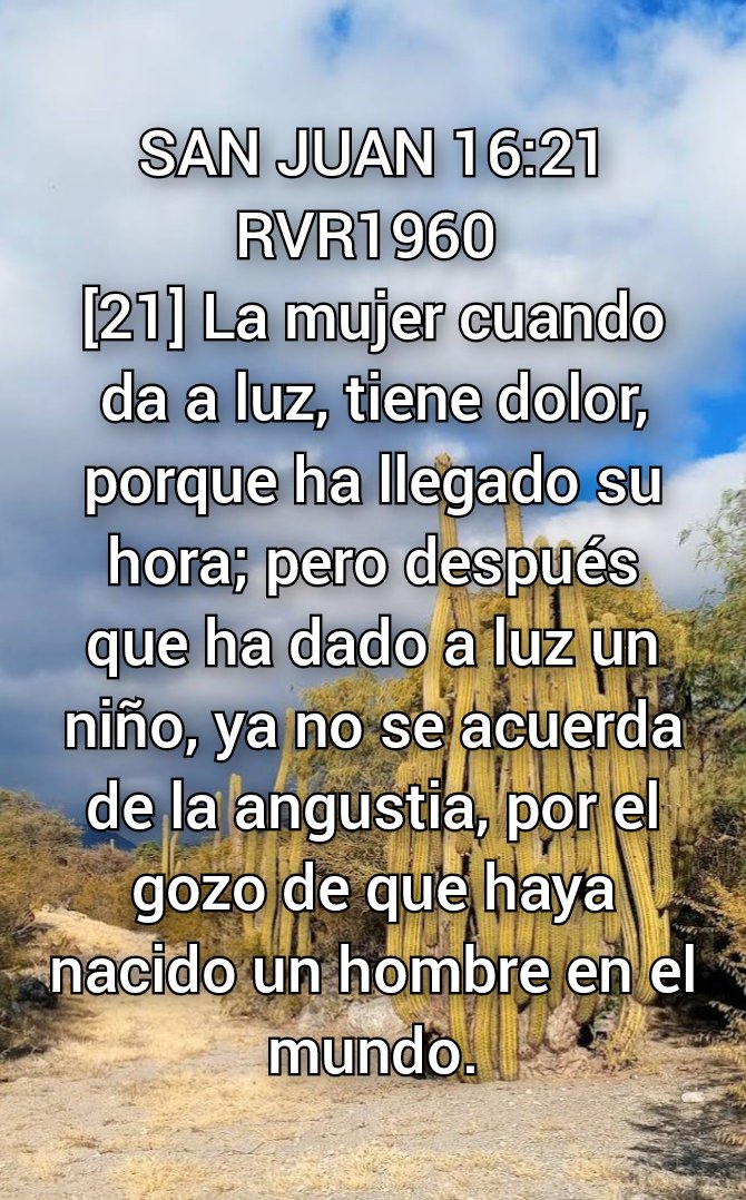 NEHEMIASLEAL's tweet photo. https://t.co/DSy8bd1Kva