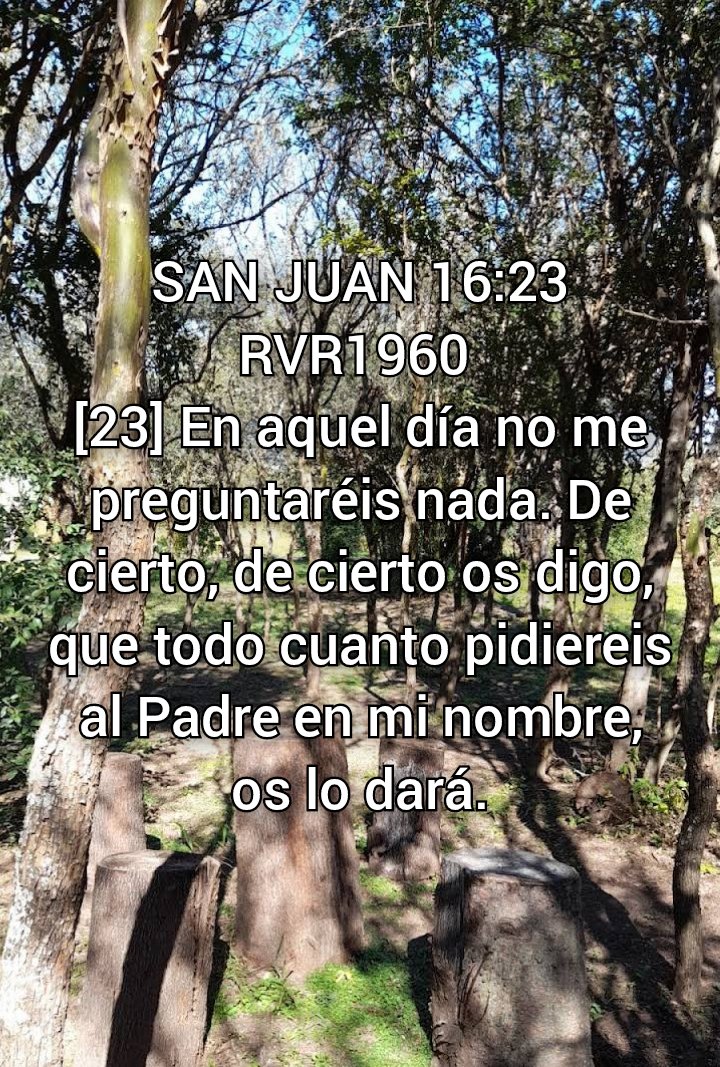 NEHEMIASLEAL's tweet photo. https://t.co/DSy8bd1Kva