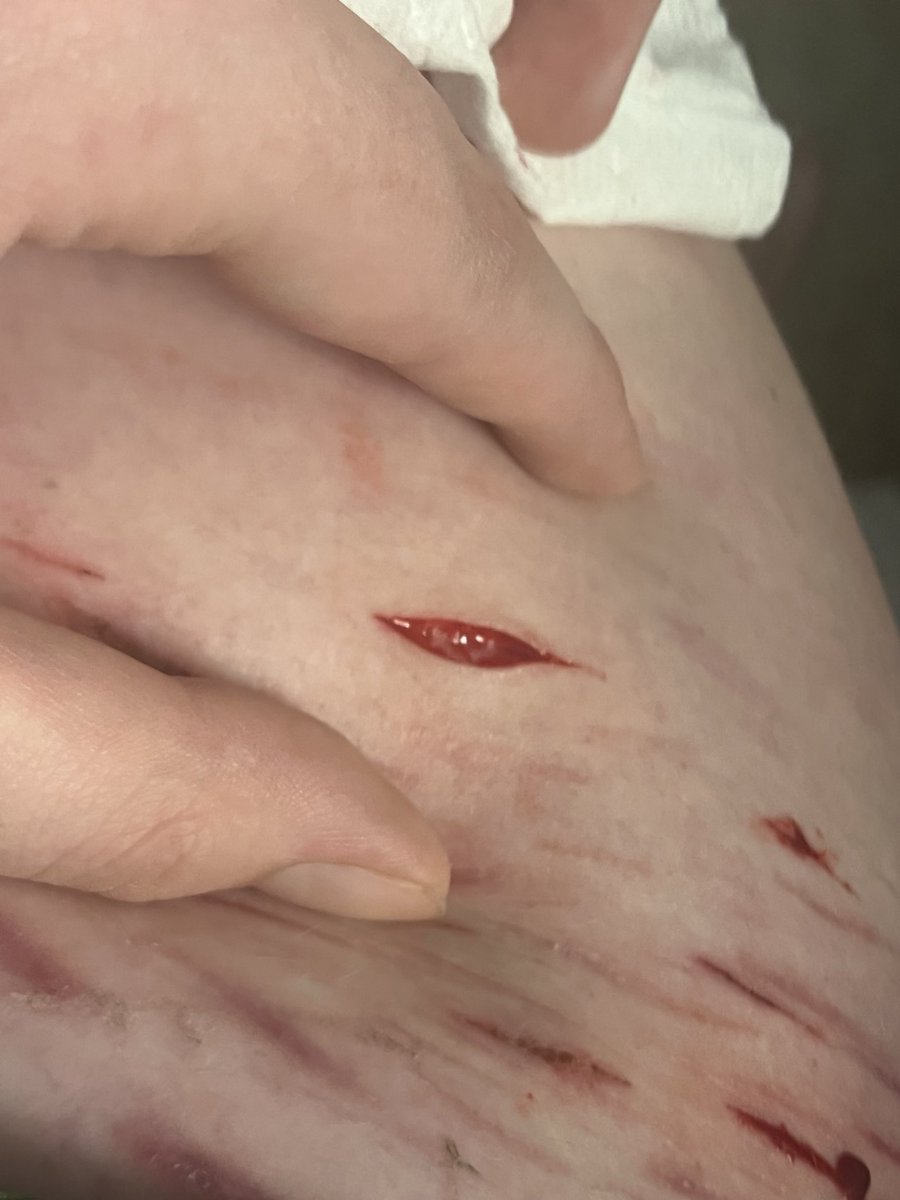 ZozoK20284's tweet photo. MB YALL MY ACCOUNT WAS LOCKED 

Ai ai ai SFX makeup https://t.co/Rwh4PF4oEK