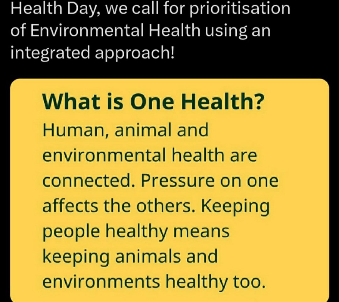 GreenAghnet's tweet photo. https://t.co/VNm7oaocZF