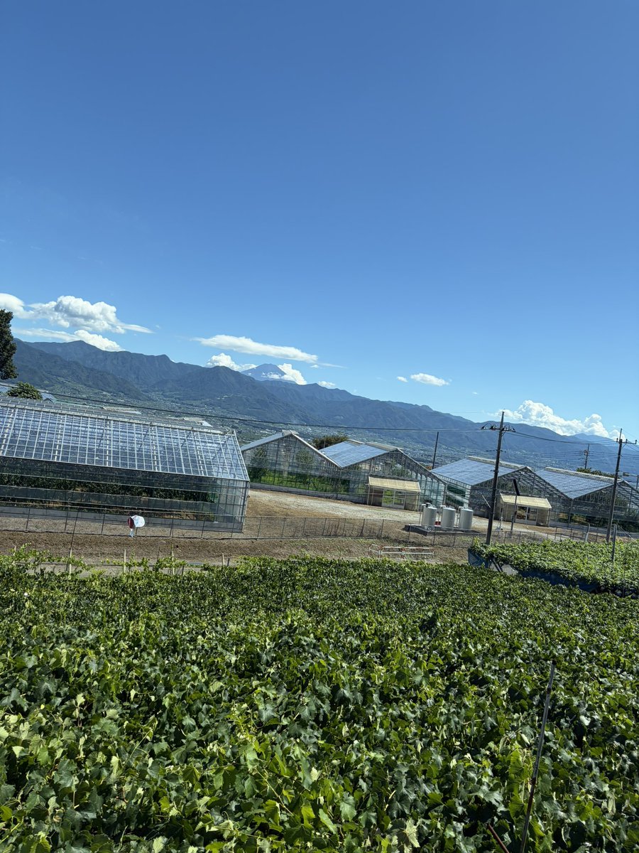 TonichiTravel's tweet photo. おはようございます！東京都北区🌤️

昨日は山梨方面の日帰り添乗だったのですが、
天気予報がいい意味で外れて超晴れ超猛暑！
過酷な暑さでしたが空が青く、雄大な山々が見渡せて気分も晴れました✨

今日もよろしくお願いします！
#企業公式相互フォロー
#企業公式夏のフォロー祭り https://t.co/0yNBMdu9kd