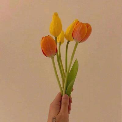 RanjanSweety's tweet photo. Inclusion means ensuring no one’s identity—gender, race, or orientation—is a barrier to belonging. Let’s make every space welcoming.  BeInclusive 🌈 🪐 🎌 https://t.co/7st9I6PKmY