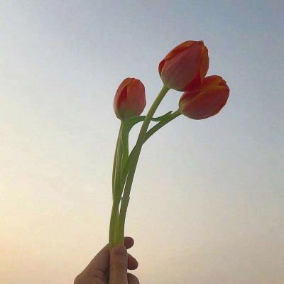 RichavelliRo's tweet photo. Contrarian thinking wins in crypto. When everyone is euphoric, be cautious. When everyone is hopeless, start accumulating. 🌹 💦 💰 https://t.co/LmbPC8aoVr