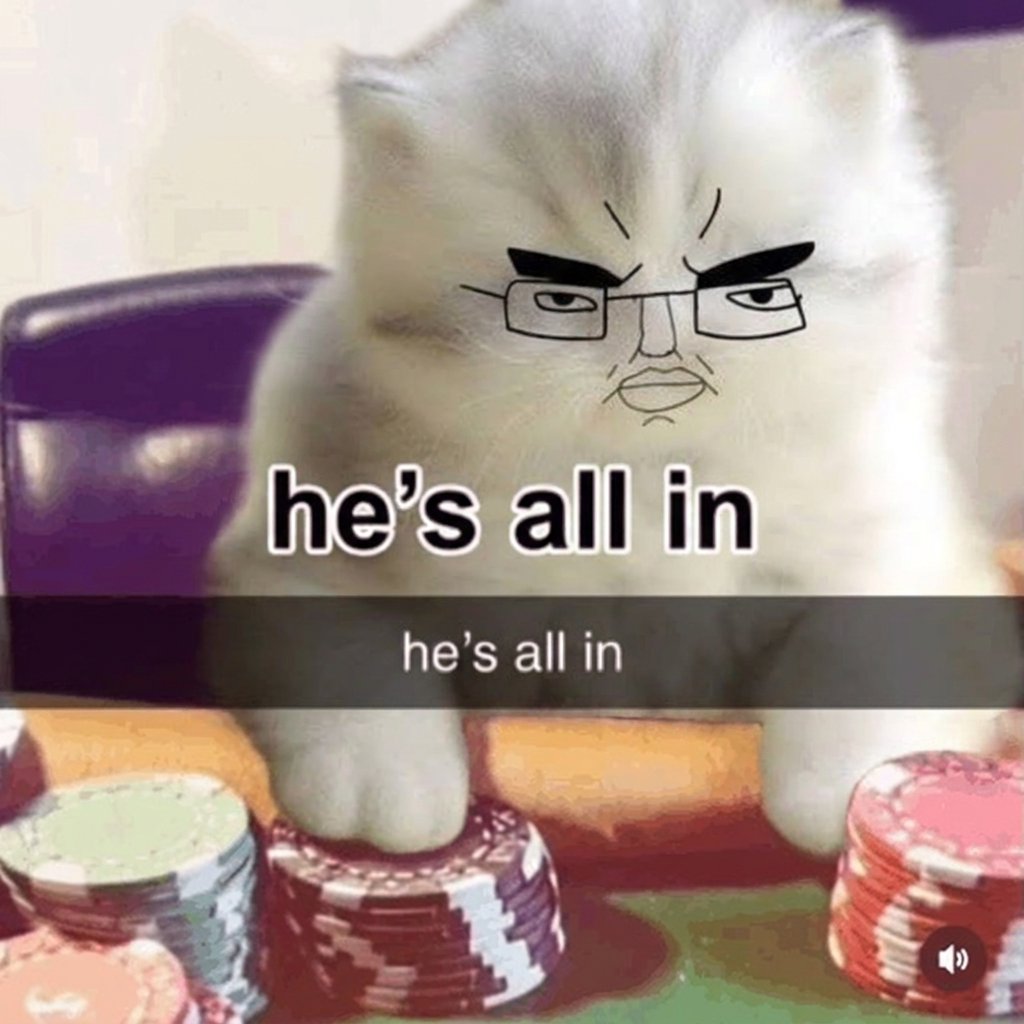 chudcatsux's tweet photo. Just an honest Chud Cat https://t.co/rfHHc9yVfH