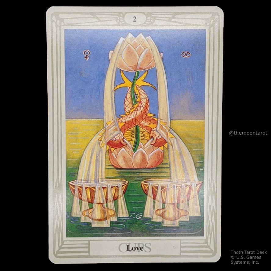 themoontarot_'s tweet photo. Today's Energy Reading: July 30, 2026 https://t.co/Ef6ub6rBQs