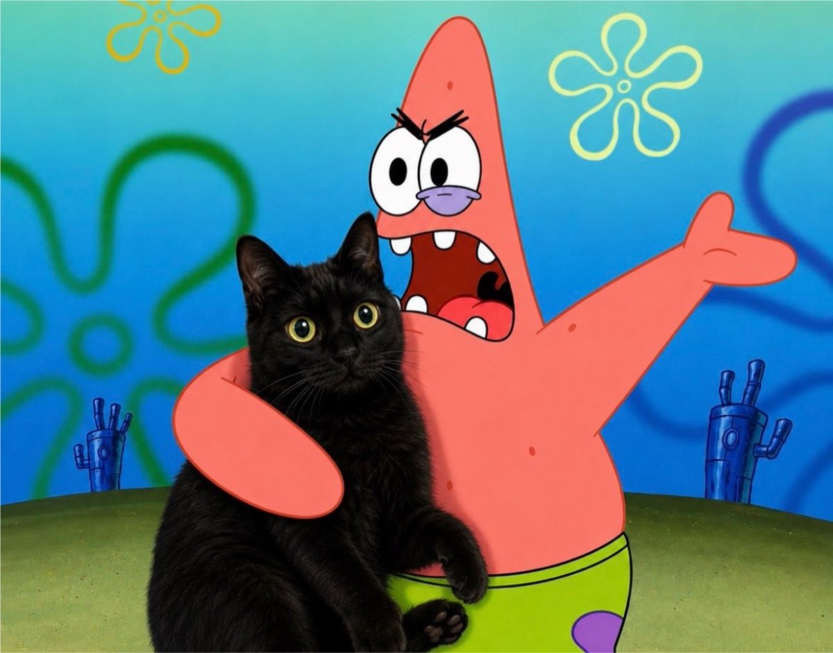 gatinarios's tweet photo. eu defendendo meu gato https://t.co/yFEzCCUjRU