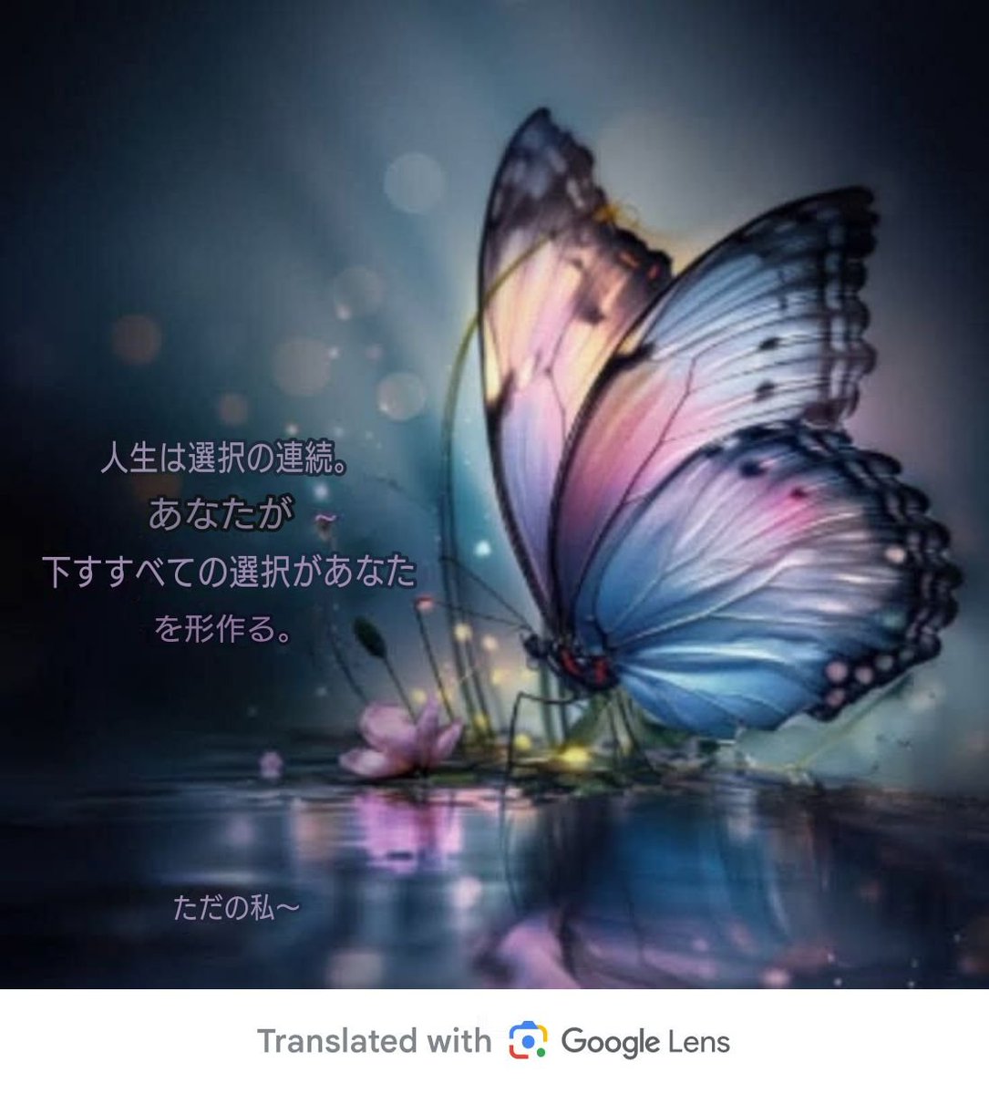 twins_papa2号 tweet media