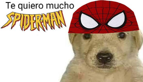 juegoofthrones's tweet photo. ya vi spiderman y solo puedo decir:

te quiero mucho peter parker sos el mejor superhéroe de la historia https://t.co/eWIkDDIykp