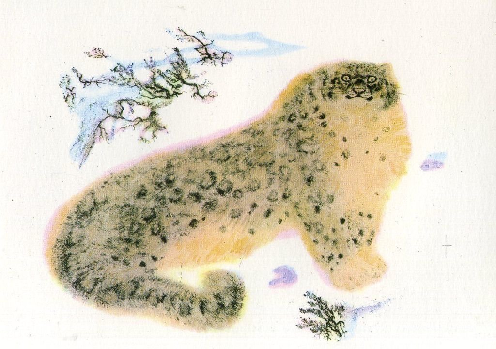 kikillo's tweet photo. Yevgeny Charushin, Snow Leopard https://t.co/OAecSI4PSp