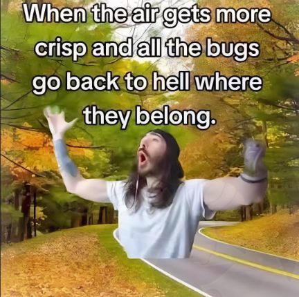 nocontextmemes's tweet photo. https://t.co/LzeFoshYUR