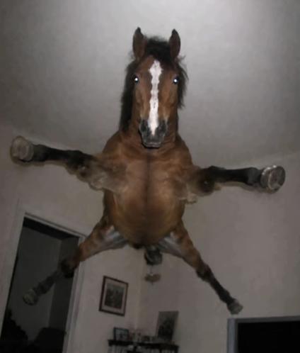 officialmooyor's tweet photo. i swear im not high......ok https://t.co/MaEGAMpL5D