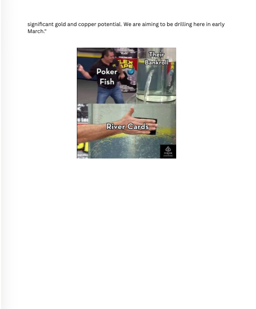 Riversgold_Ltd's tweet photo. @Riversgold_Ltd featured in the latest @RatsRant's -- 𝘛𝘩𝘦 𝘈𝘮𝘢𝘻𝘰𝘯 𝘌𝘥𝘪𝘵𝘪𝘰𝘯, which closed up 25% yesterday to finish at 1.0c, following the Company announcing a series of positive technical and permitting updates for the Northern Zone Gold Project.

#ASX #RGL $RGL https://t.co/1zyx79Auwj