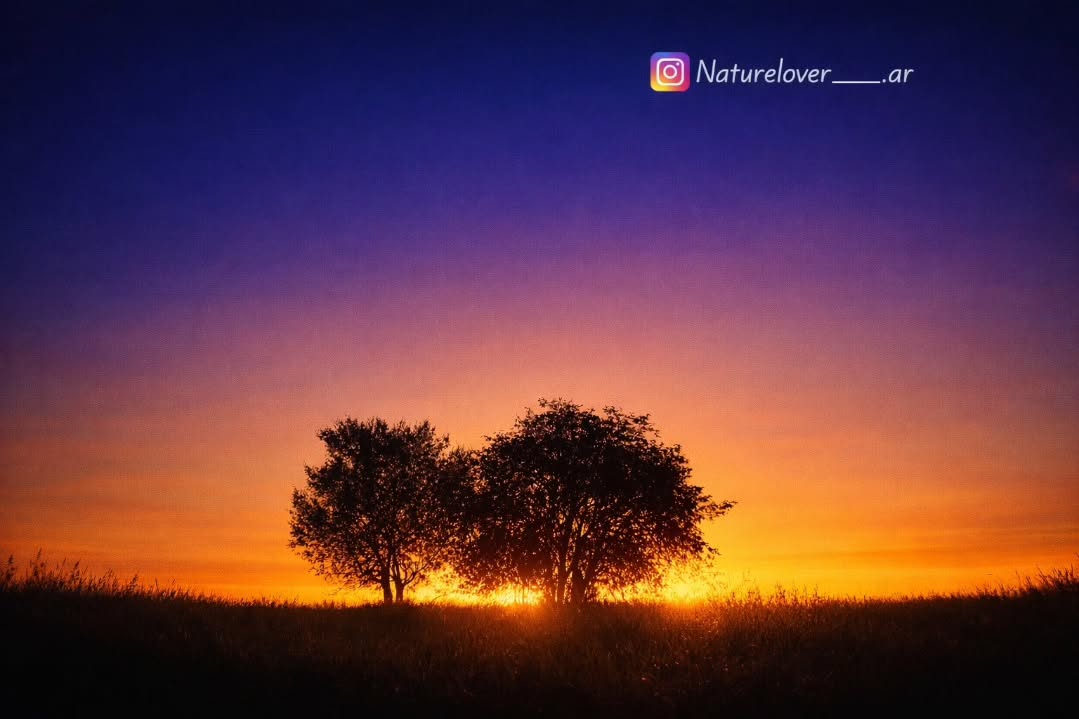 naturelovec74r's tweet photo. https://t.co/rV6MTkmy08
