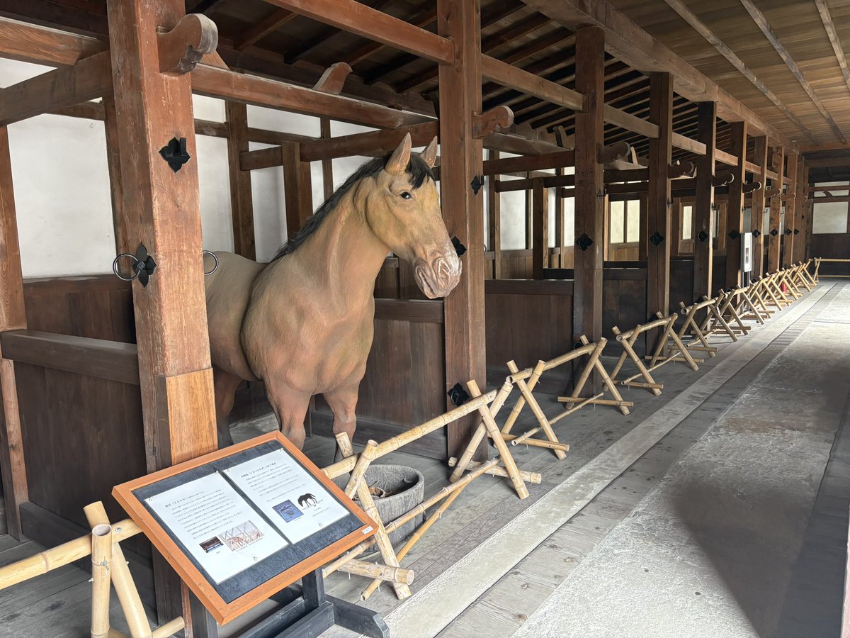 SAVAGE0087's tweet photo. 彦根城馬屋

豊臣兄弟！藤堂高虎役のサイン

永原御殿
徳川三代の将軍が上洛時の専用宿館

御城印、武将カード、マンホールカード、歴まちカード、ノベルティのTMRの武将カード https://t.co/M1IvZTMBhX