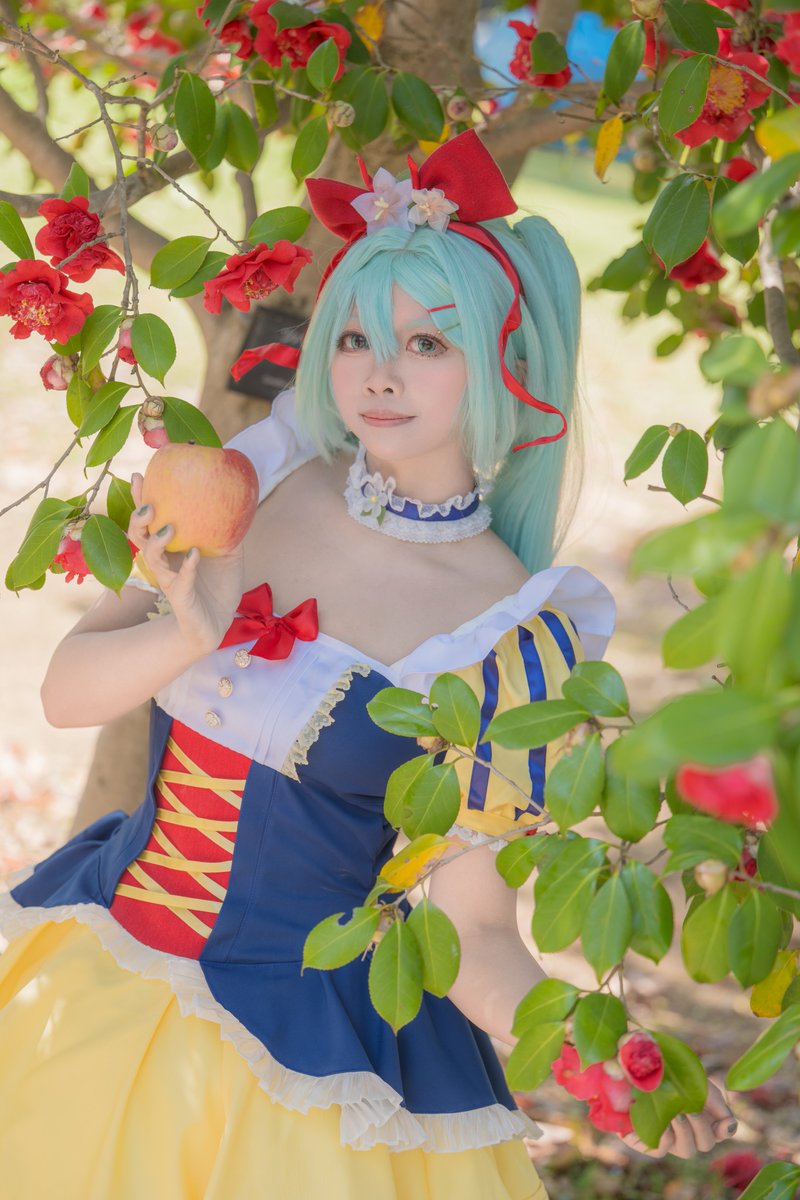 kunisakura26's tweet photo. 初音ミク　白雪姫
📷アンディさん　@AndyPhotoWorld

#コスプレ #コスプレイヤーさんと繋がりたい #初音ミク #初音ミクコスプレ #HatsuneMiku https://t.co/ZMFrdjSokZ
