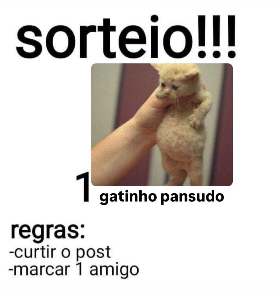gatinarios's tweet photo. https://t.co/3HCgppKDMq