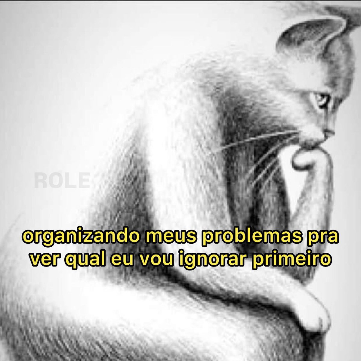 rolealeatorio's tweet photo. https://t.co/Nb0lU5if5e