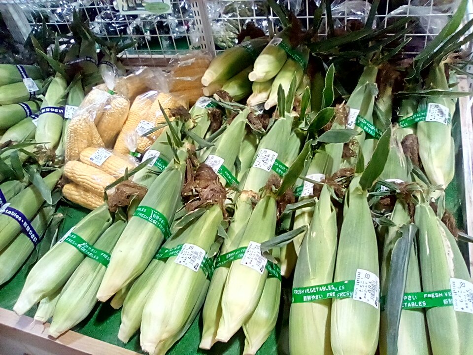Alps_Horigane's tweet photo. おはようございます🌞暑く��りそうですね❗
地元のとうもろこし🌽
切り花🌺がたくさん入荷しています！
こまめな水分補給をしながらぜひお立ち寄りください
#安曇野市　#ほりがね　#道の駅 https://t.co/rE8qPg07VT