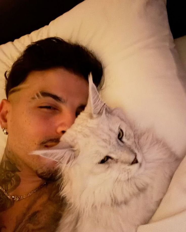 acervorauw's tweet photo. não aguento que o rauw colocou o nome desse gato de haKU https://t.co/uwpLEwoMRA