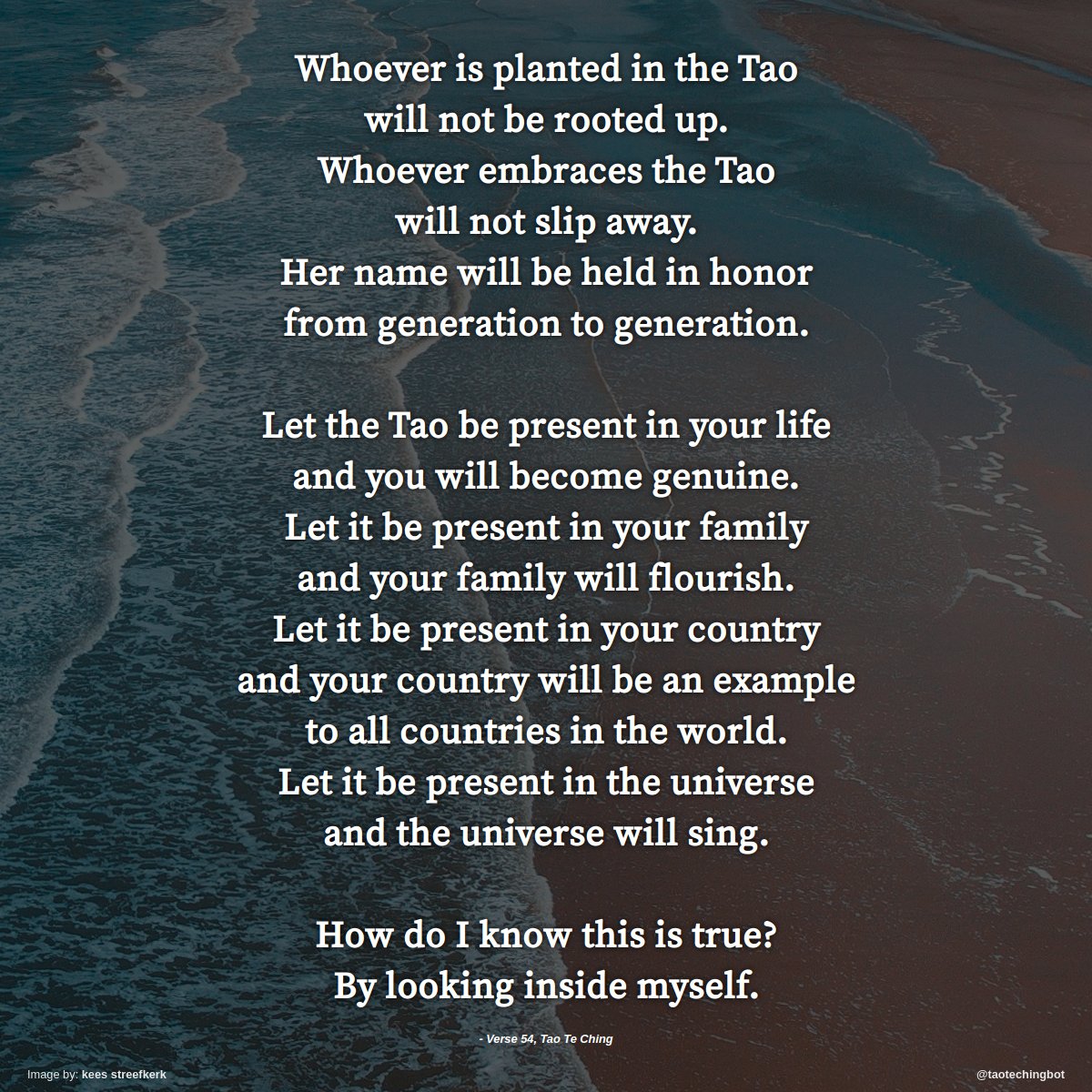 taotechingbot's tweet photo. Verse 54 of The Tao Te Ching. #TaoTeChing #Laozi #Tao #LaoTzu #Taoism #BookOfTheWay https://t.co/QjvEs1Dp7V