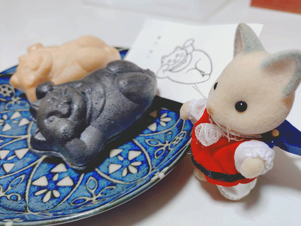 saoricca's tweet photo. 君たち、寝てないでちょっとは働きたまえよ https://t.co/3eeXrLG9JA