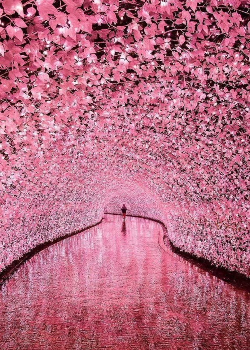 viewsoff's tweet photo. Japan https://t.co/wfHCePxuTM
