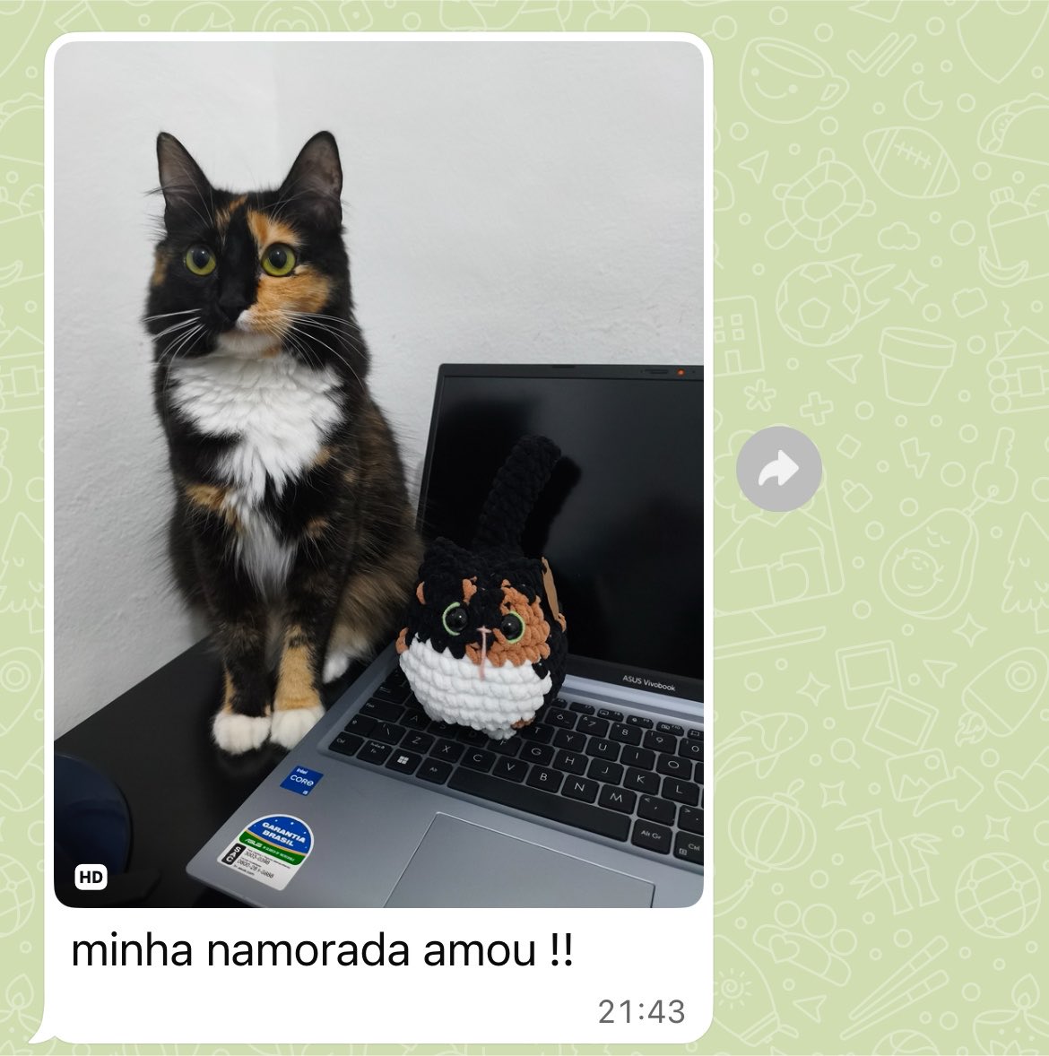lilicadocroche's tweet photo. eu faleço com essas fotinhos dos meus clientes e seus clones https://t.co/99qZ9gDoYI