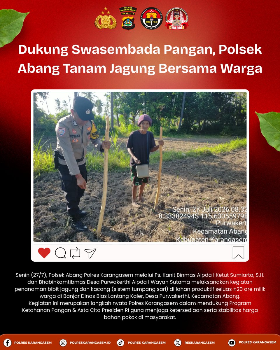 setumpoldabali's tweet photo. Dukung Swasembada Pangan, Polsek Abang Tanam Jagung Bersama Warga 🌽
Senin (27/7), Polsek Abang Polres Karangasem melalui Ps. Kanit Binmas Aipda I Ketut Sumiarta, S.H. dan Bhabinkamtibmas Desa Purwakerthi Aipda I Wayan Sutama melaksanakan kegiatan penanaman bibit jagung https://t.co/GdI0citmzx