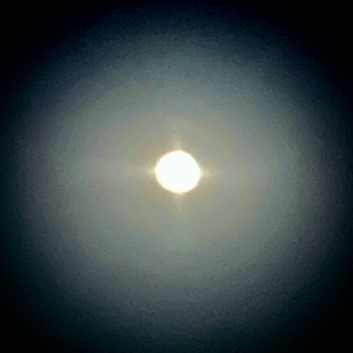 _Cha_pari_'s tweet photo. 🌕 https://t.co/GcQF1PcJZP